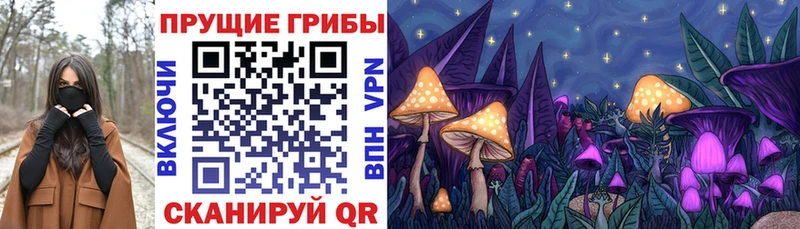 Купить где  Нижняя Тура  Псилоцибиновые грибы MAGIC MUSHROOMS 